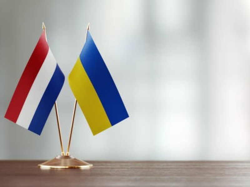 NL Ukraine flags